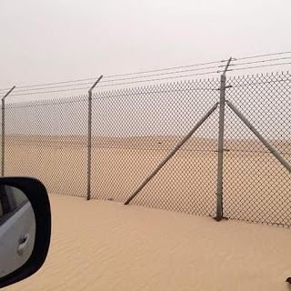 أنواع الشبوك
